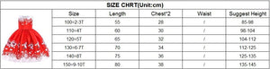 Christmas Dress Costume Princess Girl's New Year Party Dresses Children Kids Clothing