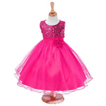 Kids Dresses for Christmas Princess Dress for party